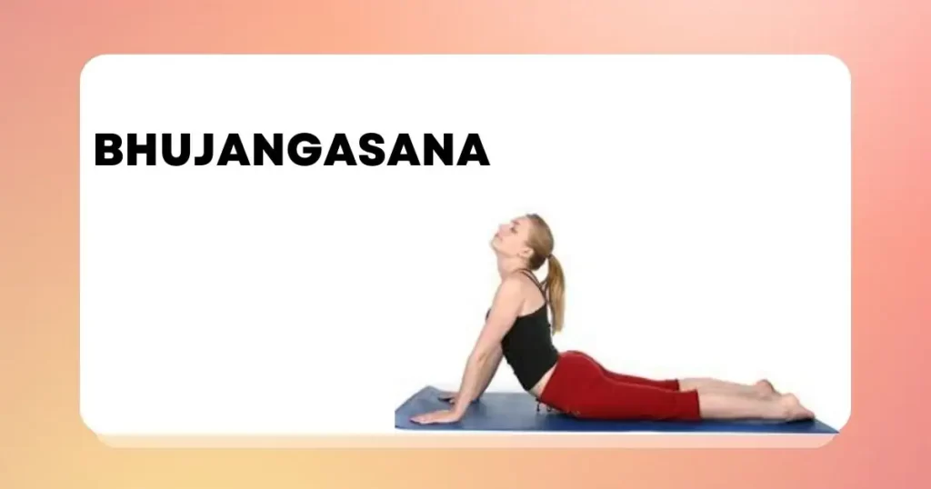 8 Yoga Poses Perfect for Beginners