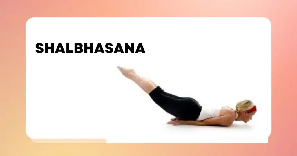 8 Yoga Poses Perfect for Beginners