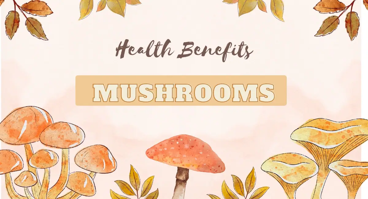 Health Benefits of Mushrooms