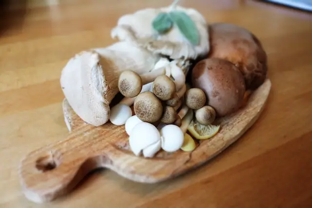 health benefits of mushrooms