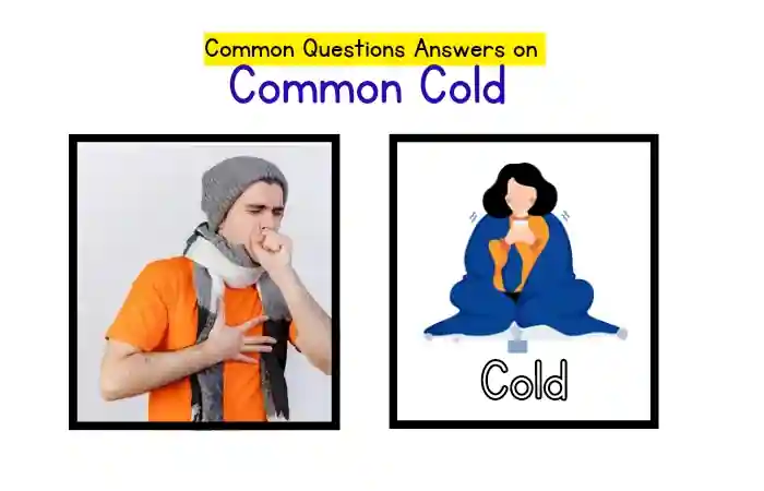 Common Questions Answers about Common Cold