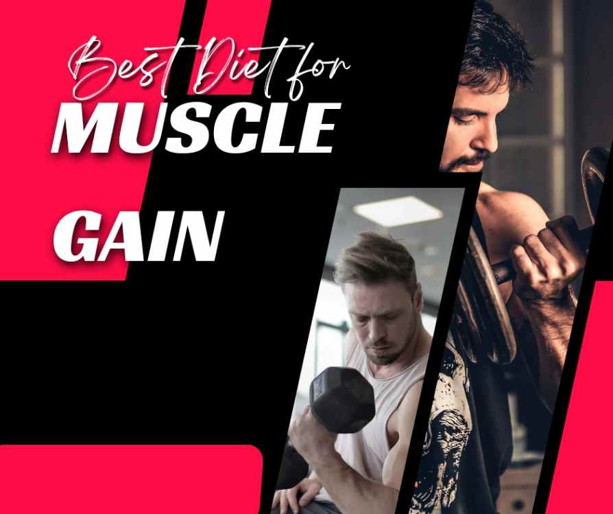 The Best Diet for Muscle Gain