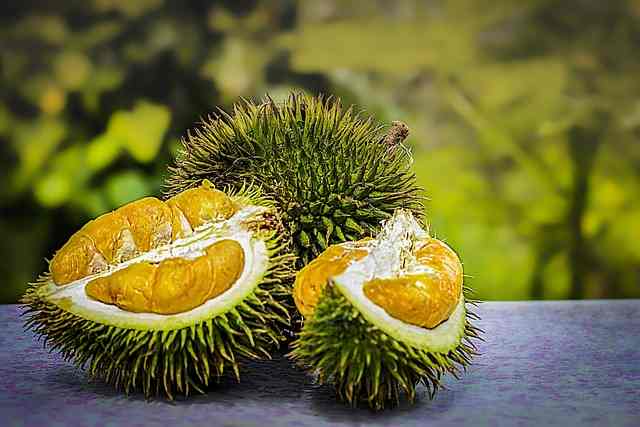 7 best exotic fruits