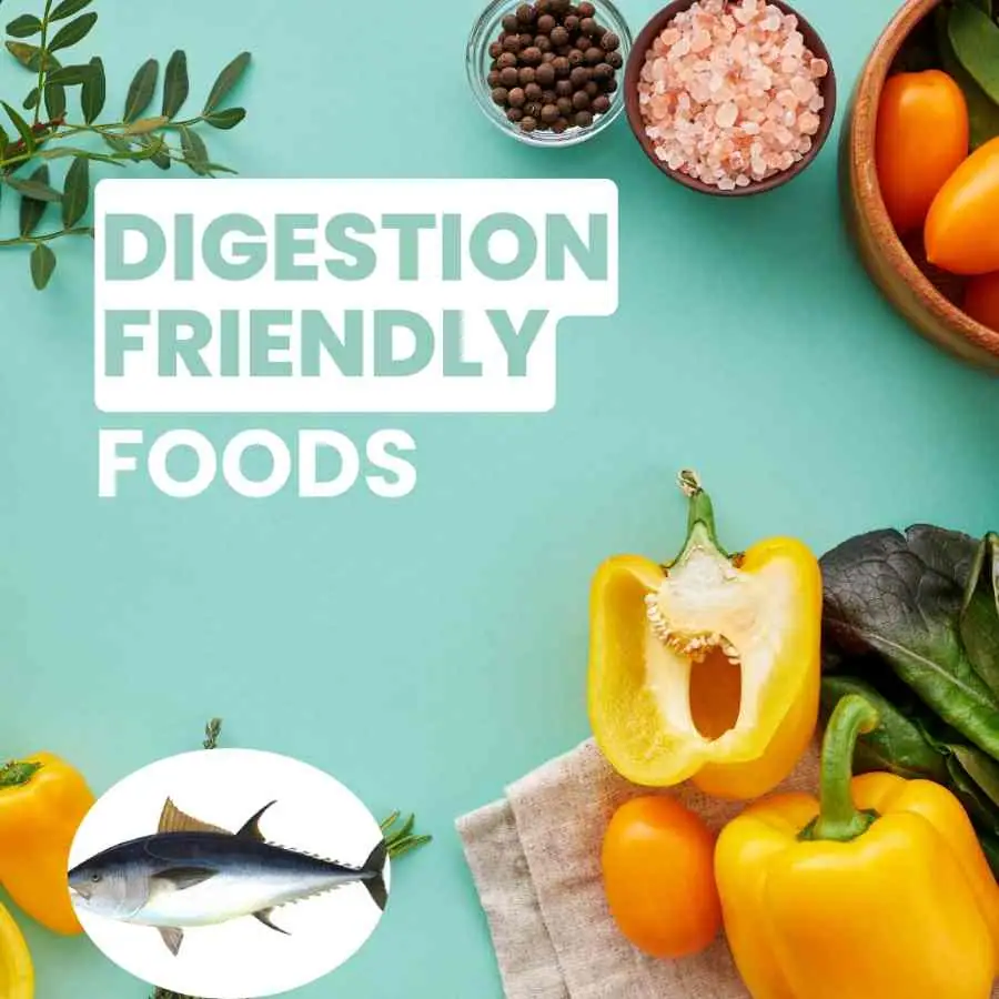 best foods to help digestion